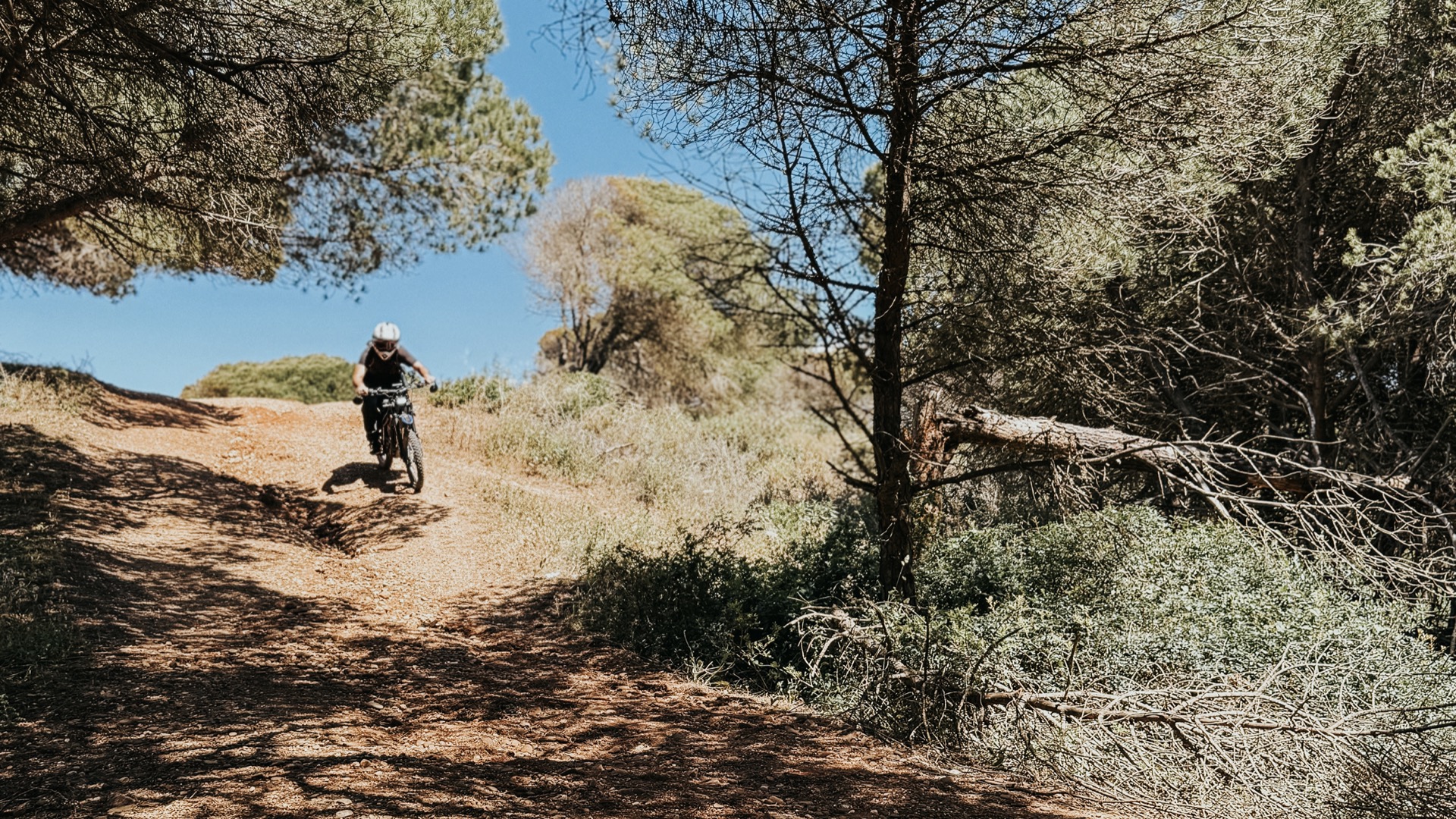 Electric bike riders on coastal trail Falésia - Ewheelo guided tours Portugal