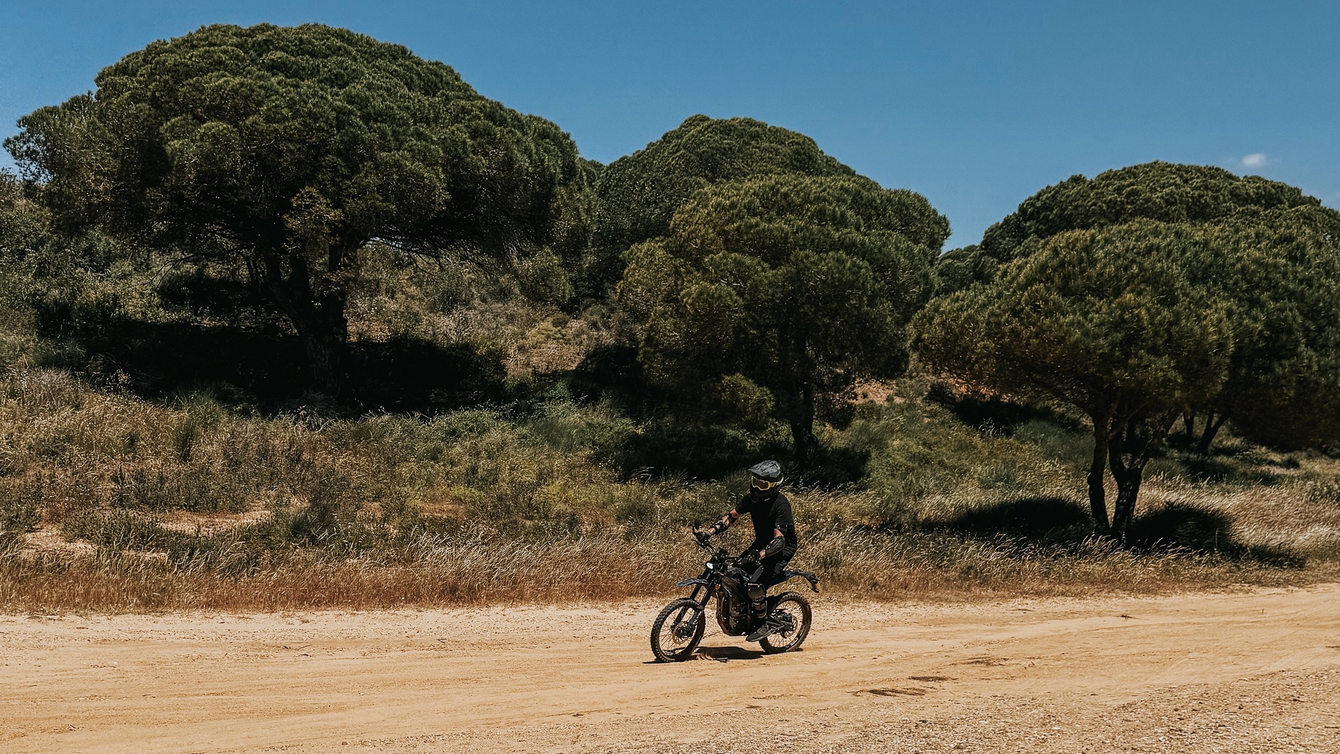 Electric bike tour guide leading group at Falésia - Ewheelo professional tours